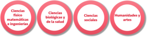 cuatro áreas profesionales